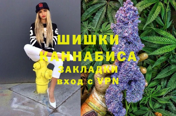молекула духа Алзамай